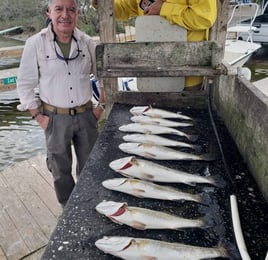 Inshore Fishing Trip