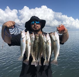 Inshore Fishing Trip