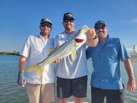 Inshore Fishing Trip