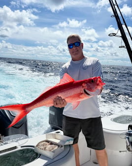 Offshore Trip