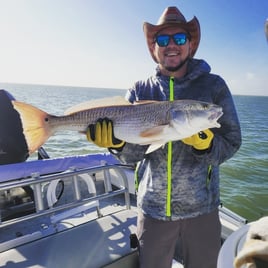 5hr Morning Bay Fishing