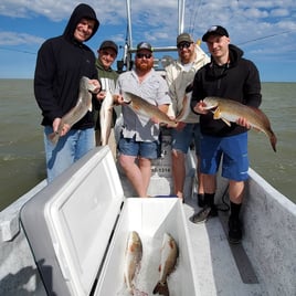 5hr Morning Bay Fishing