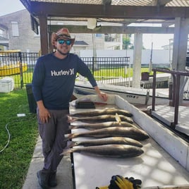 5hr Morning Bay Fishing