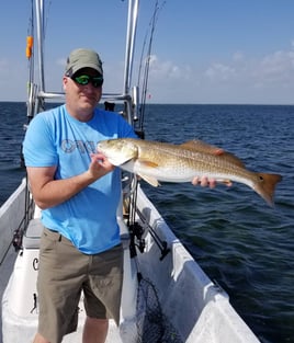 5hr Morning Bay Fishing