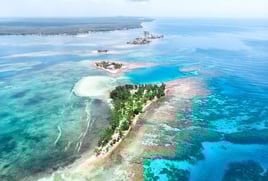 Inshore Reef & Flats Fishing