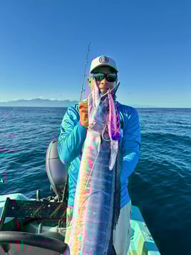 Offshore Trolling & Live Bait 