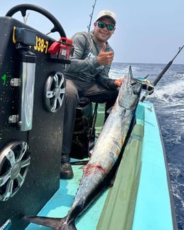 Offshore Trolling & Live Bait 