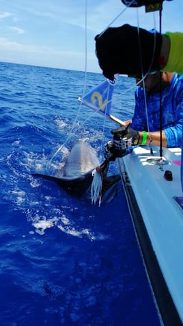 Offshore Trolling & Live Bait 