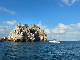 USVI Private