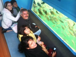 Glass Bottom Boat Tour