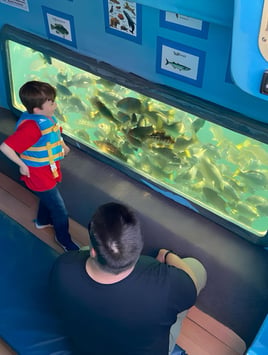 Glass Bottom Boat Tour