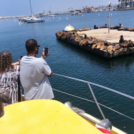 Glass Bottom Boat Tour