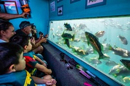 Glass Bottom Boat Tour
