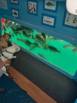 Glass Bottom Boat Tour