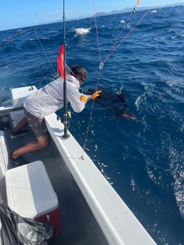3/4 Fishing Offshore 