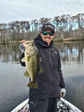 Bass Bonanza! 