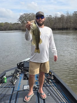 Bass Bonanza! 
