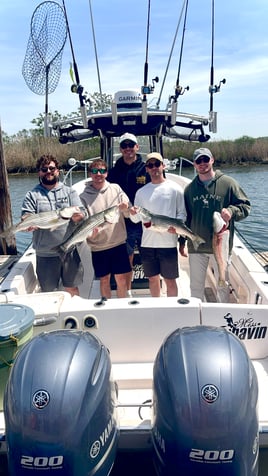 Early Spring Jumbo Bass