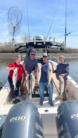 Early Spring Jumbo Bass