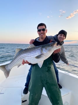 Early Spring Jumbo Bass