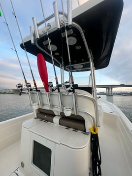 Reel Fisher Charters