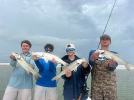 4-6 Hour Inshore Trip