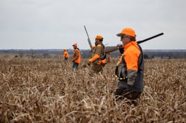 Kansas Upland Bird Hunting