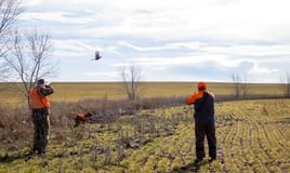 Kansas Upland Bird Hunting