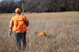 Kansas Upland Bird Hunting