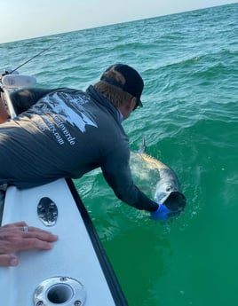 Tarpon Fishing