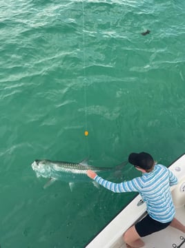 Tarpon Fishing
