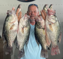 Lake Ray Hubbard Crappie Fishing