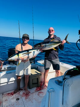 Full Day Offshore Trip