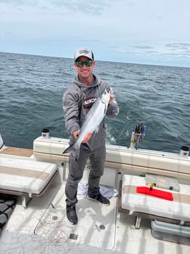 Lake Michigan Salmon/Trout Fishing