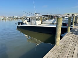 Half Day Offshore Trip