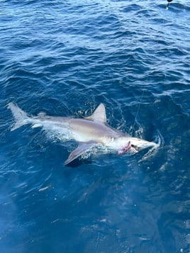 5-10 Hour Fishing Trip