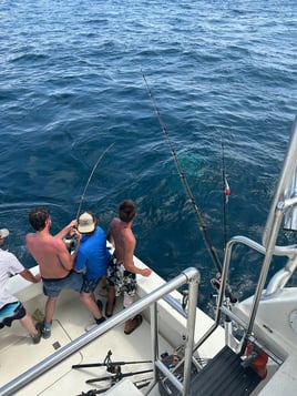 36' Hatteras State Water Trips
