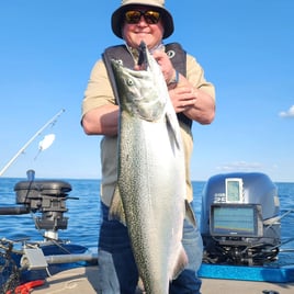 Salmon & Trout On Lake Ontario