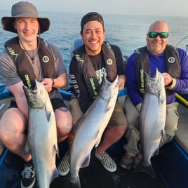 Salmon & Trout On Lake Ontario