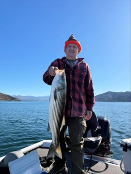 4 Hr Trips Stripers