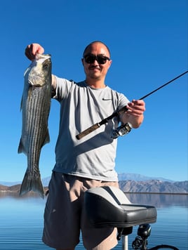 4 Hr Trips Stripers