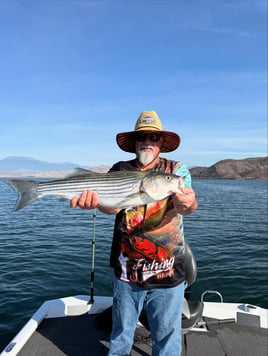 4 Hr Trips Stripers