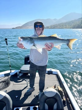 4 Hr Trips Stripers
