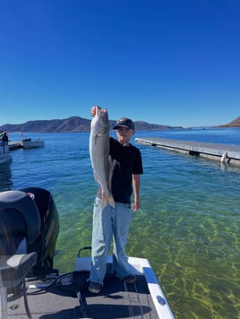 4 Hr Trips Stripers
