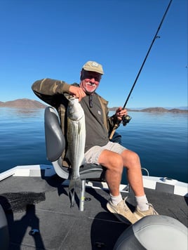4 Hr Trips Stripers