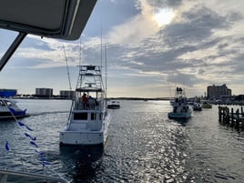 Harbor Hookup: Destin Fishing Fun