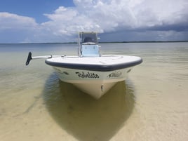 Cancun Light Tackle And Fly Fishing