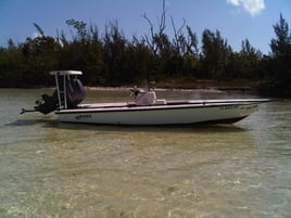 Cancun Light Tackle And Fly Fishing