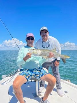 Three Hour Quick Trip