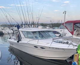 Full Day Lake Erie Fishing